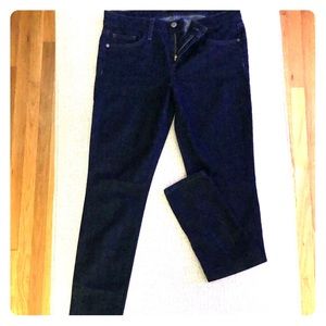 Joe’s Jeans dark denim skinny visionaire size 29